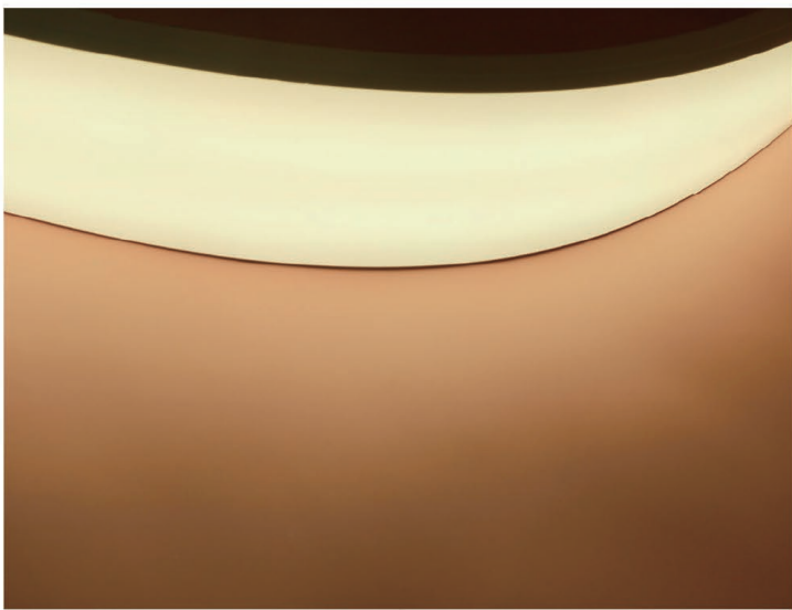 10030 Top View Silicone Neon Flex Sleeve for 20*2mm PCB