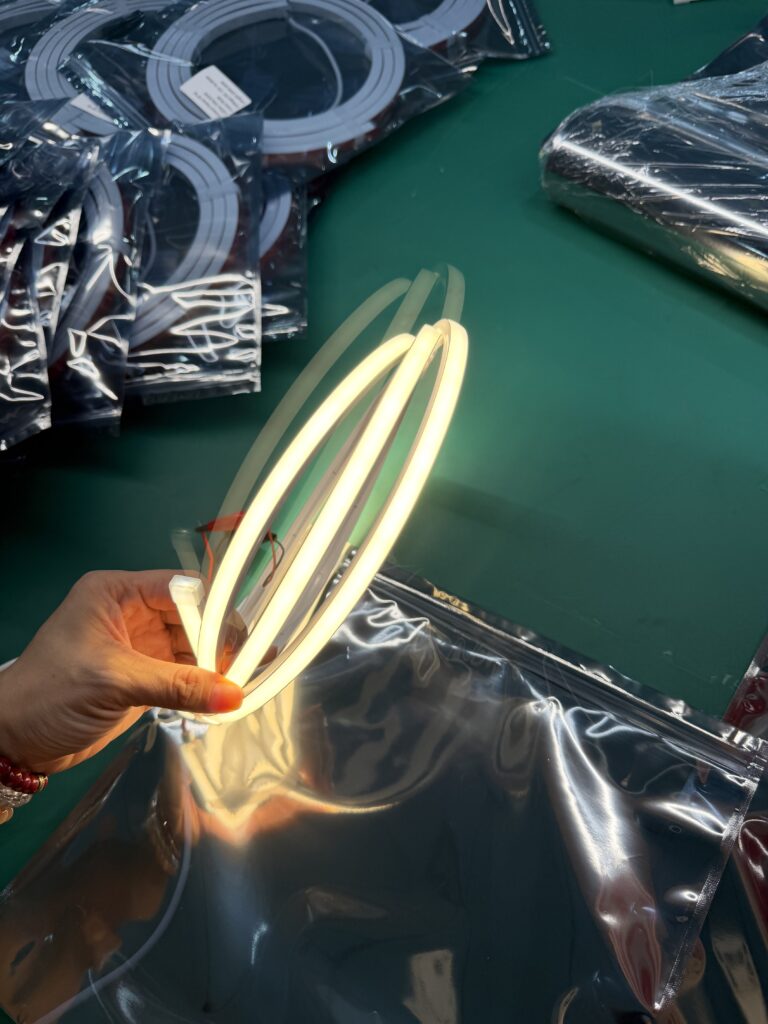 Professional Neon LED Strip Manufacturer & Supplier – What Does “Professional” Really Mean?